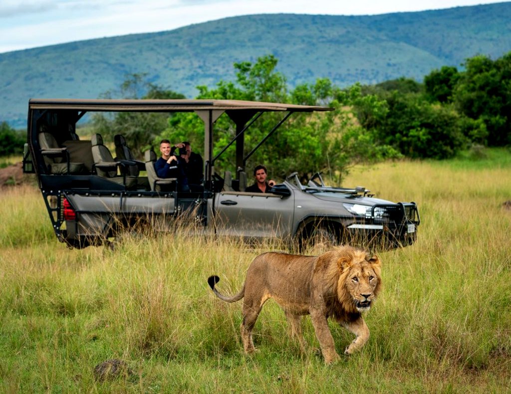game-watching-experience-akagera-national-park
