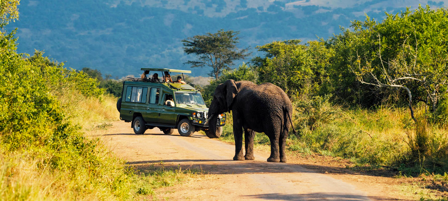 guided-game-drives-in-akagera-national-park